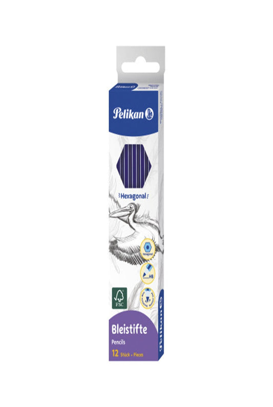 عدد 12 Pelikan أقلام رصاص