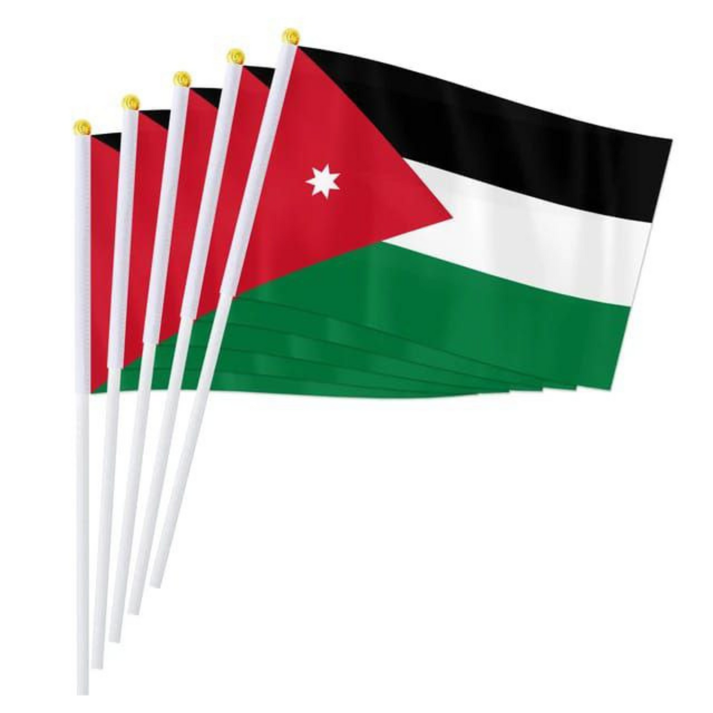 علم الأردن عصاي
